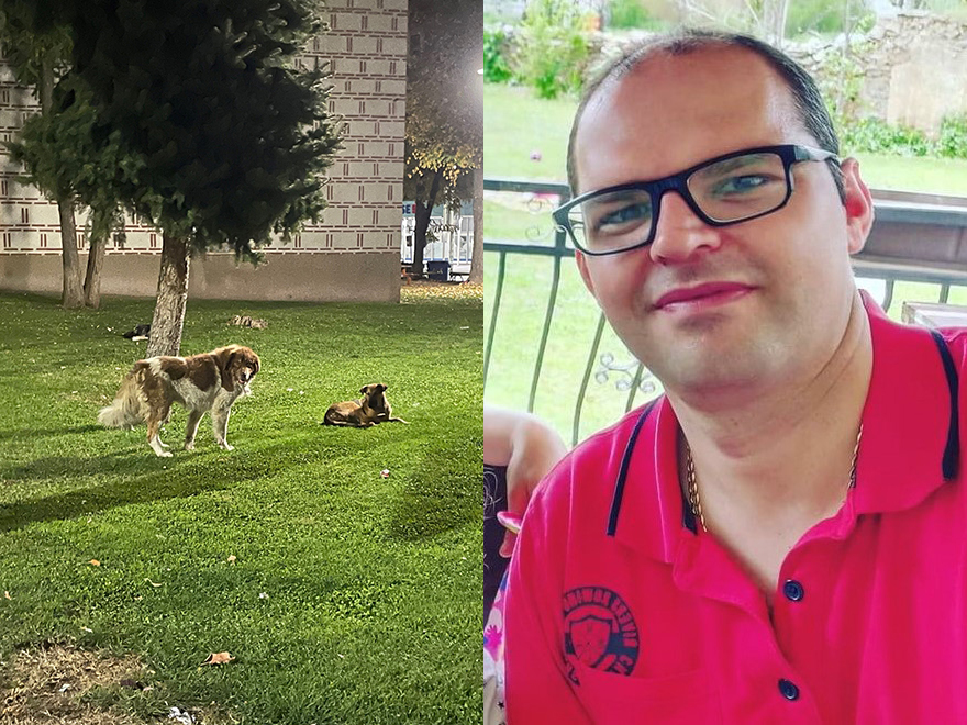 Alexander Curlinovski och hundar i en park.