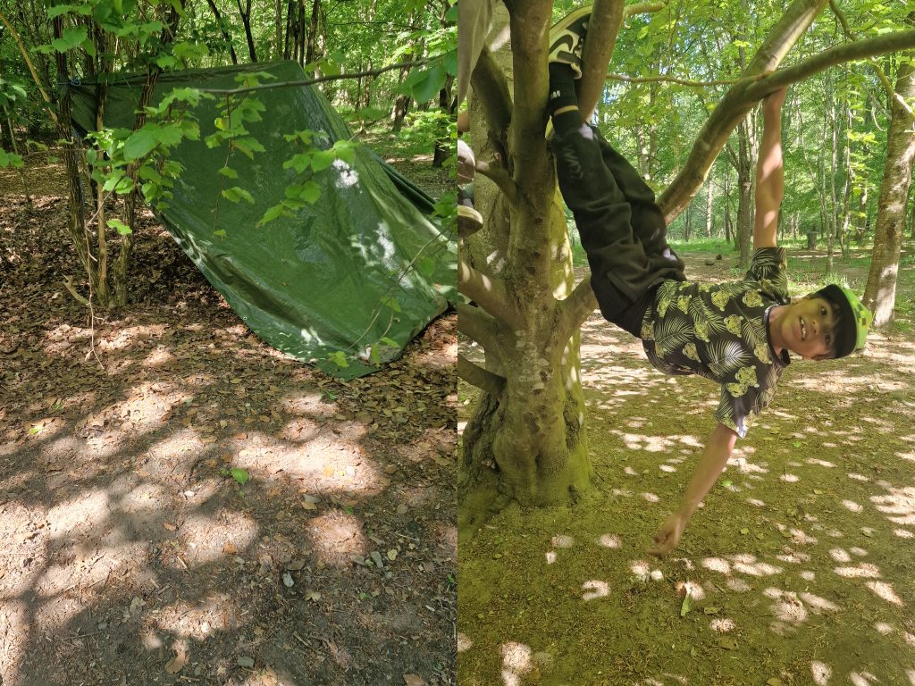 David hänger i ett träd och ett vindskydd